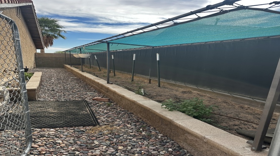 11438 E Del Golfo, Yuma, Arizona 85367, 4 Bedrooms Bedrooms, 0 ,2 BathroomsBathrooms,Single Family Home,For Rent,0,2036