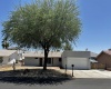 12393 E Del Norte, Yuma, Arizona 85367, 3 Bedrooms Bedrooms, ,2 BathroomsBathrooms,Single Family Home,For Rent,1938